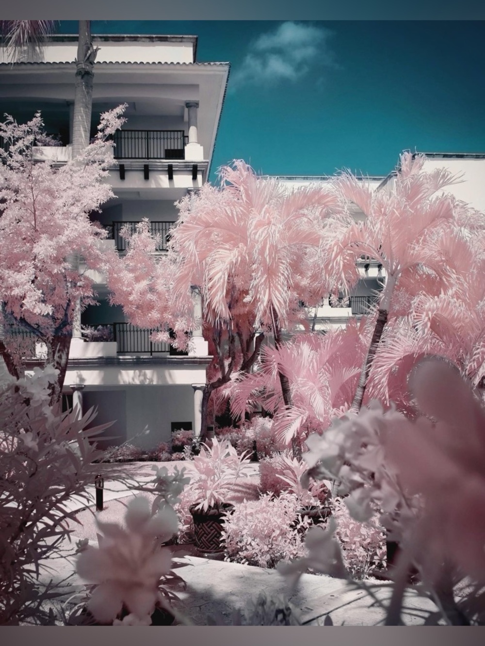 Fujifilm X100V with Infrared SuperColor Conversion
